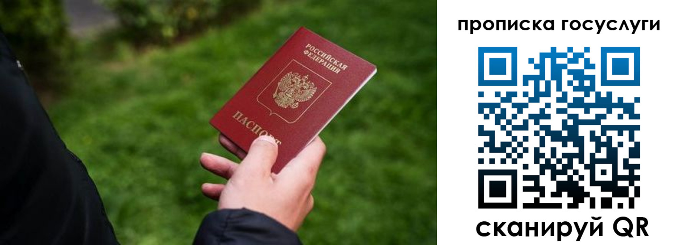 прописка для работы в Вольске